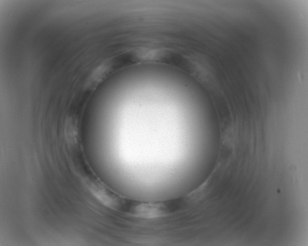 X0000082150179200701262318