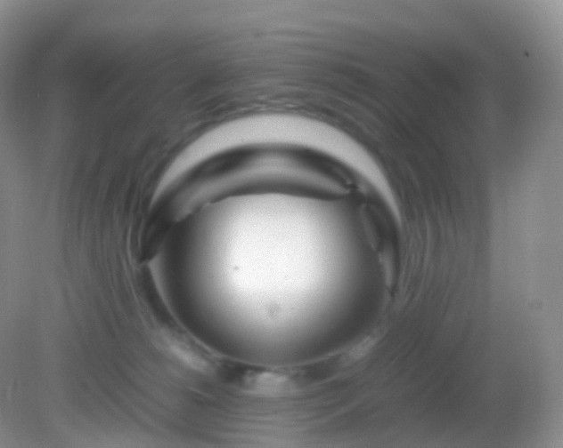 X0000082150180200701262318