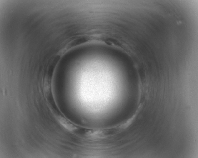 X0000082150186200701262318