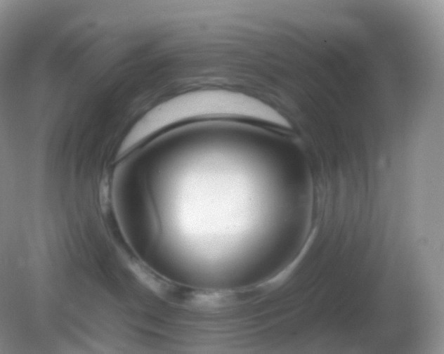 X0000082150190200701262318
