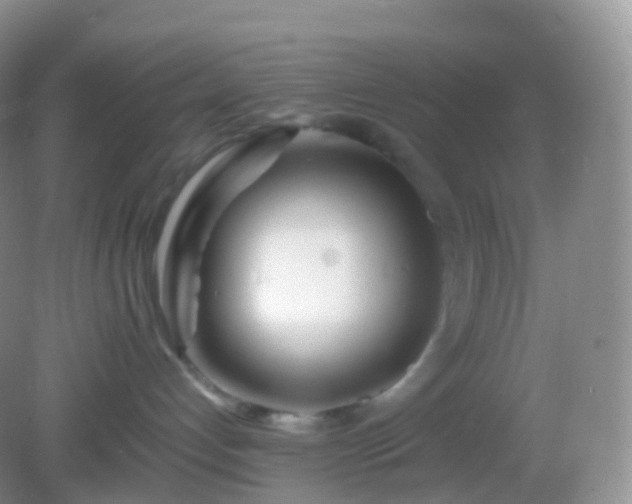 X0000082150192200701262318