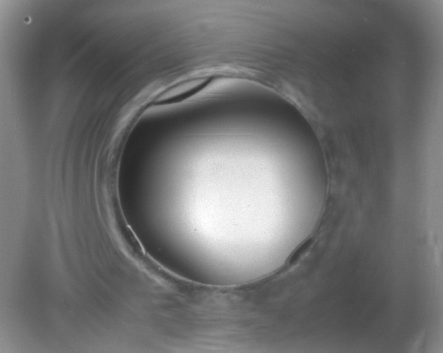X0000082150193200701262317