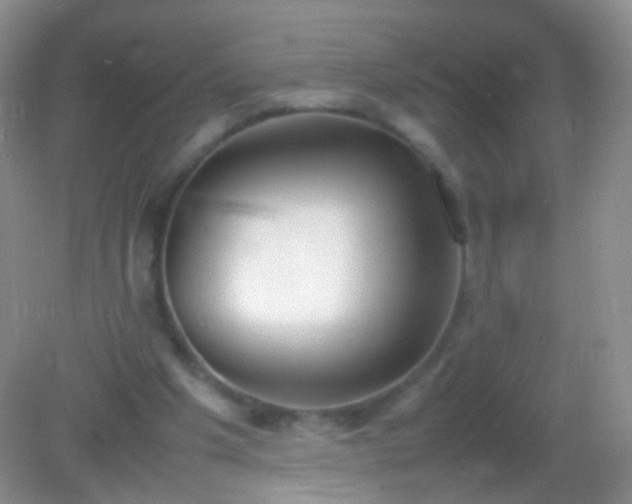 X0000082150201200701262317