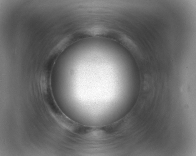 X0000082150210200701262317