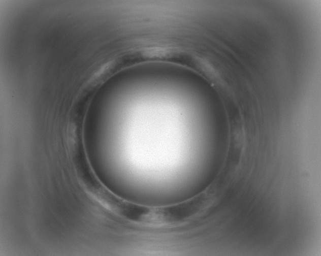 X0000082150211200701262317