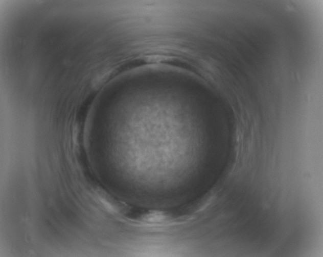 X0000082150219200701262317