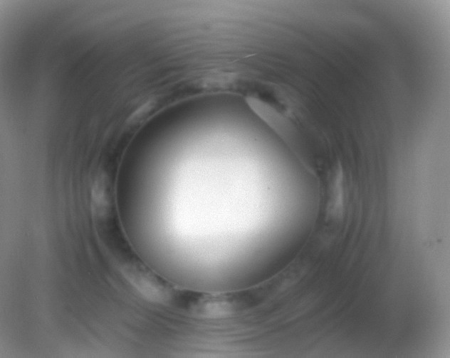 X0000082150228200701262316