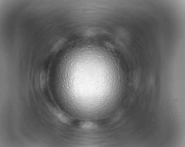 X0000082150230200701262316