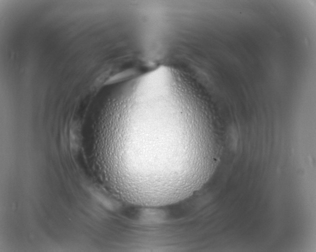 X0000082150234200701262316