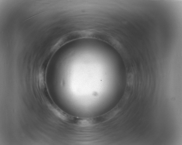 X0000082150238200701262316
