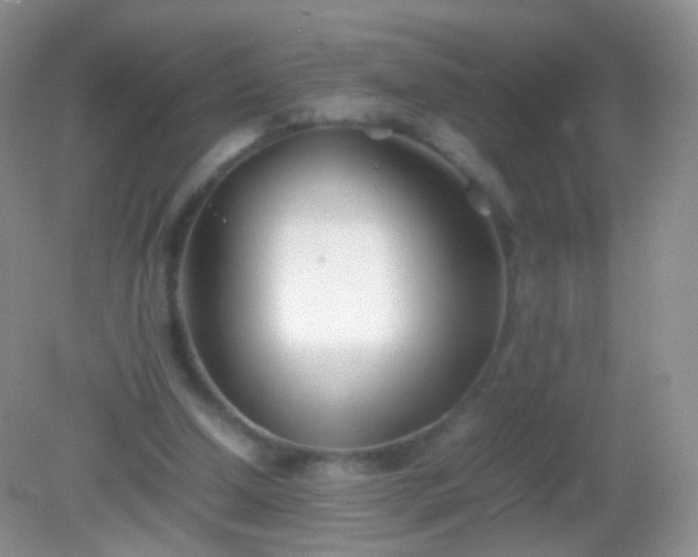 X0000082150250200701262316
