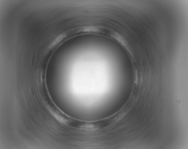 X0000082150253200701262316
