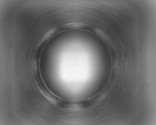 X0000082150254200701262316