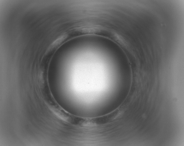 X0000082150258200701262316