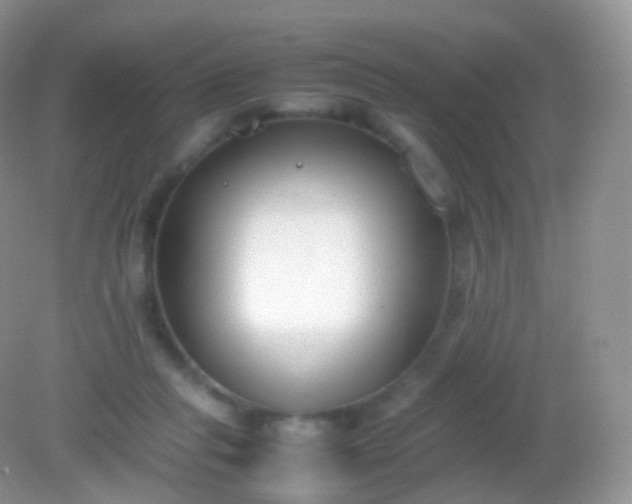 X0000082150261200701262316