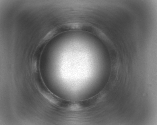 X0000082150262200701262316