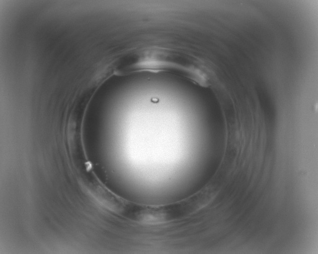 X0000082150263200701262316