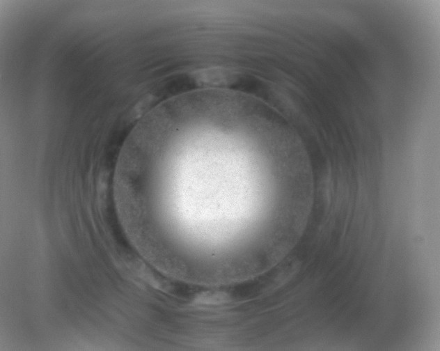 X0000082150271200701262316