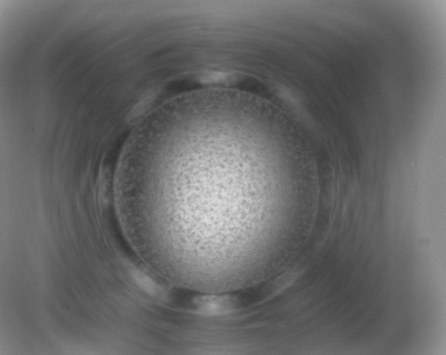 X0000082150273200701262316