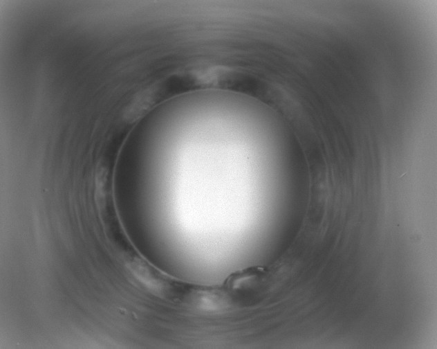 X0000082150275200701262316