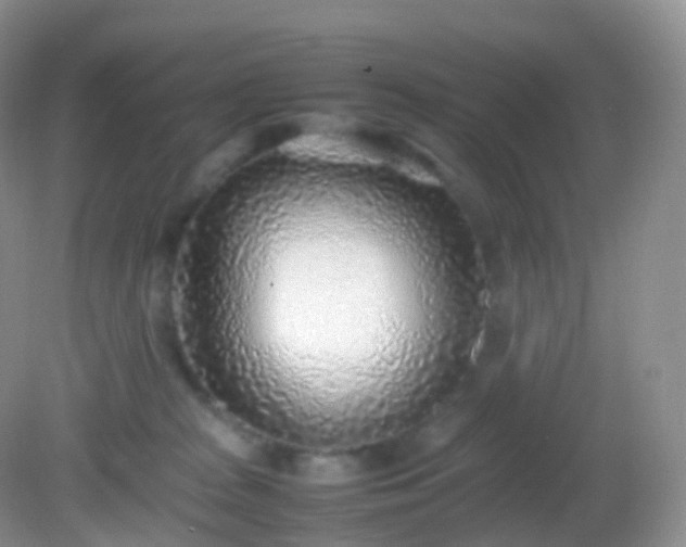 X0000082150277200701262316