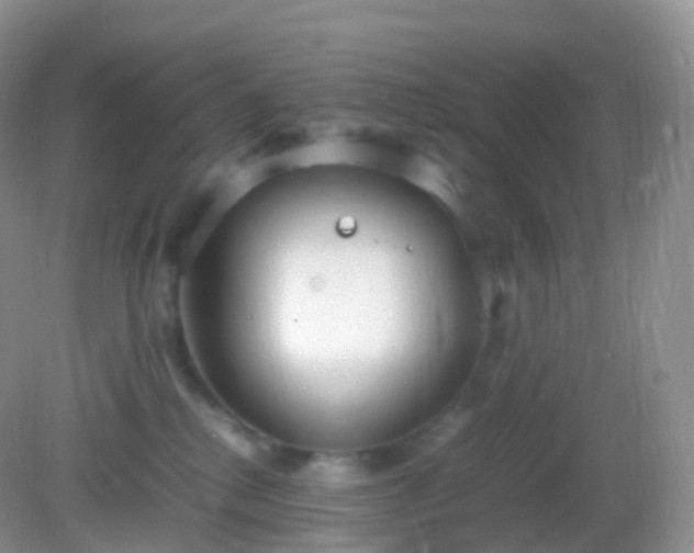 X0000082150280200701262316