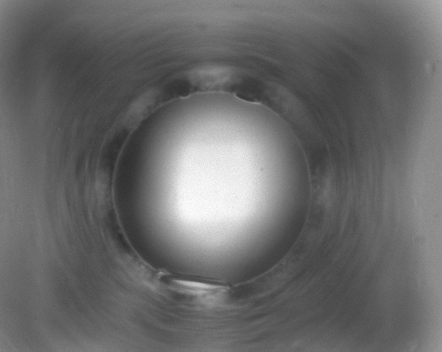 X0000082150283200701262316
