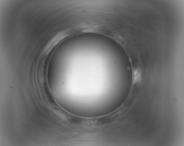 X0000082150291200701262315
