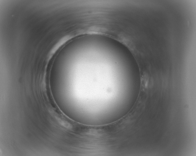X0000082150292200701262315