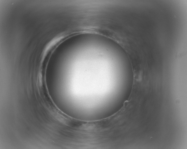 X0000082150294200701262315