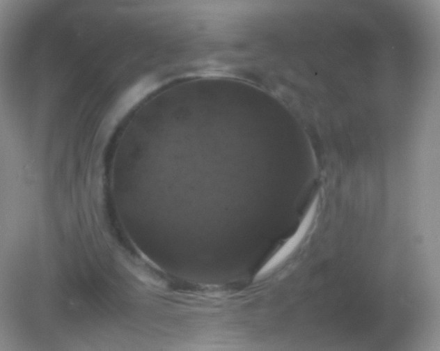X0000082150295200701262315