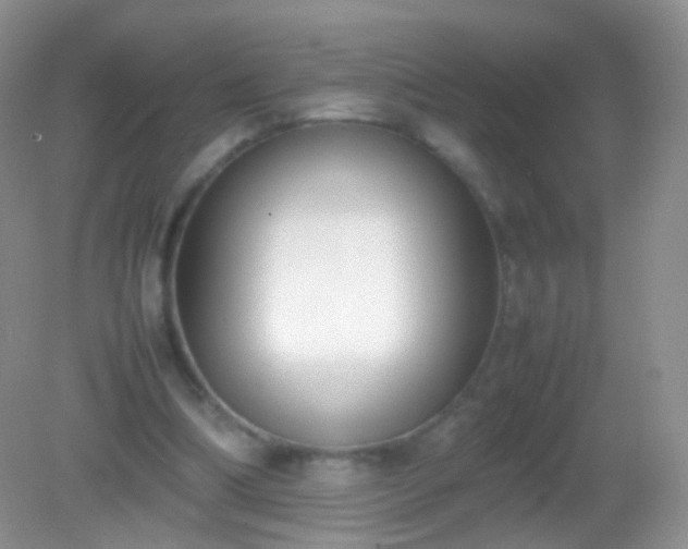 X0000082150298200701262315