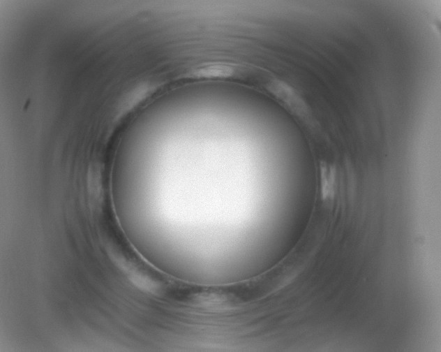 X0000082150300200701262315