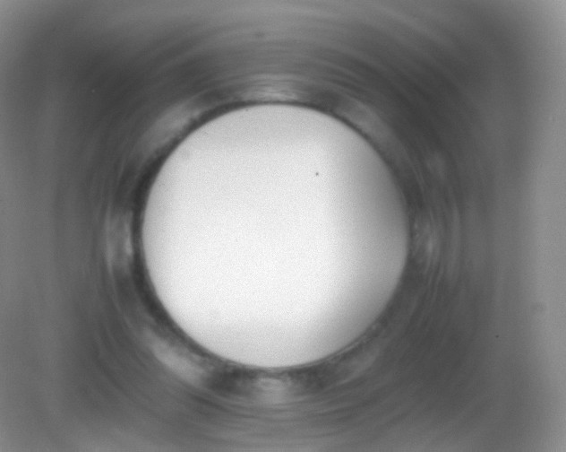 X0000082150302200701262315