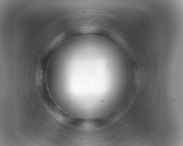 X0000082150308200701262315
