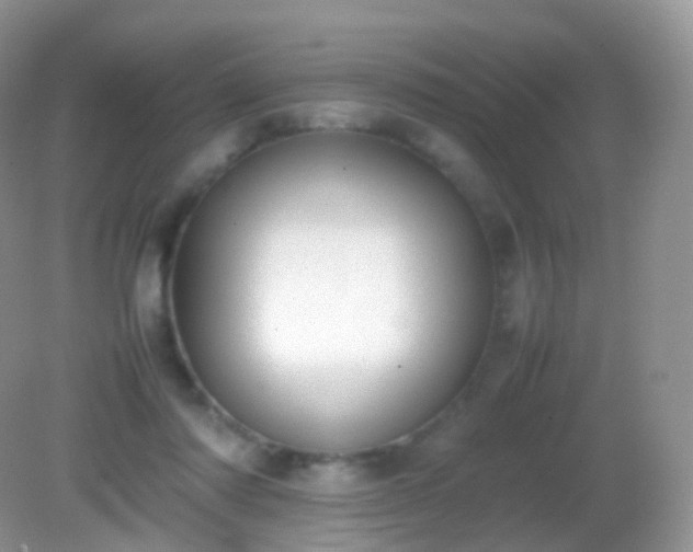 X0000082150310200701262315