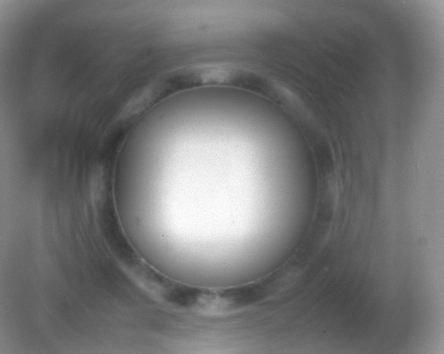 X0000082150311200701262315