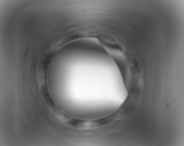 X0000082150323200701262315