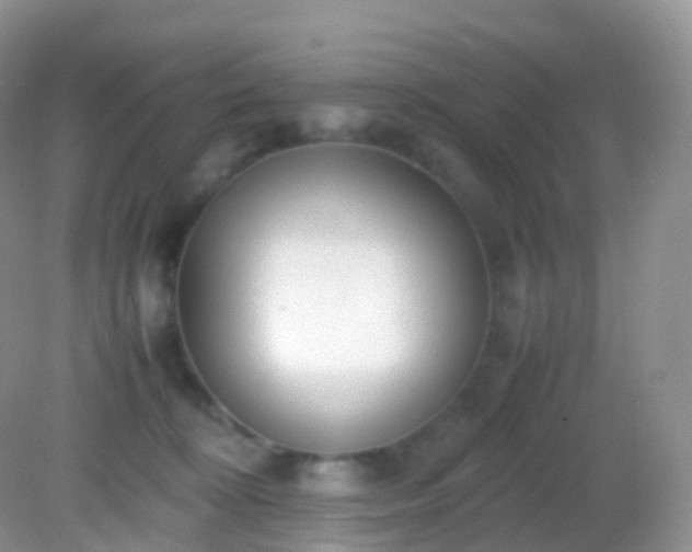 X0000082150324200701262315