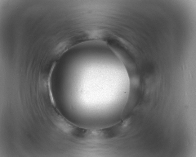 X0000082150329200701262315