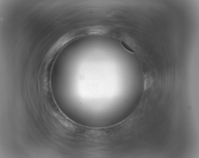 X0000082150339200701262314