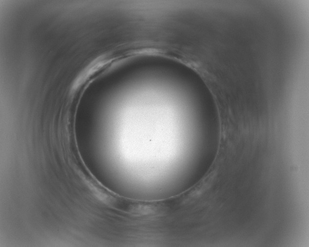 X0000082150341200701262314