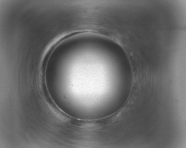 X0000082150342200701262314