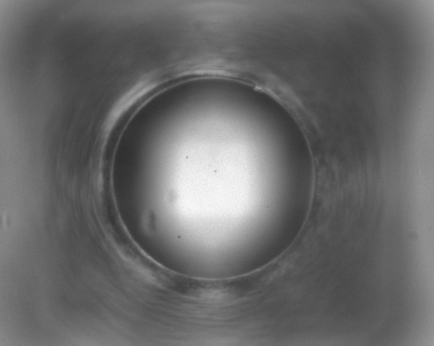 X0000082150344200701262314