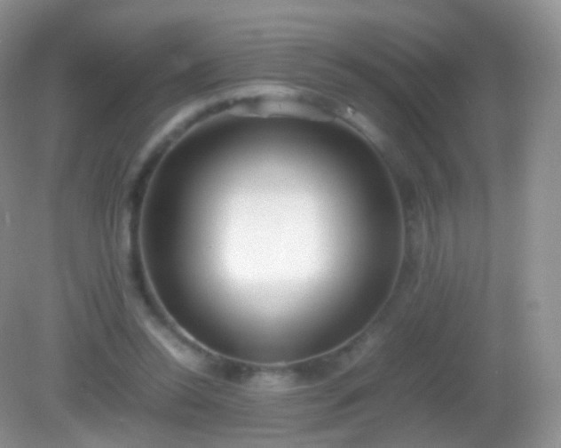 X0000082150350200701262314