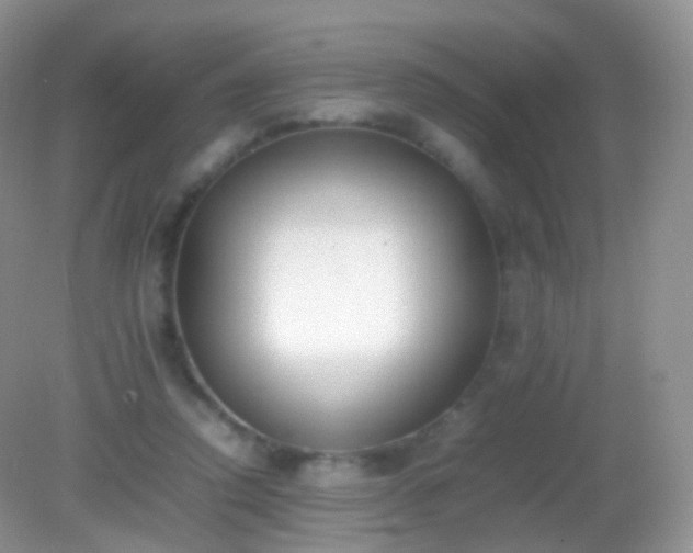 X0000082150354200701262314