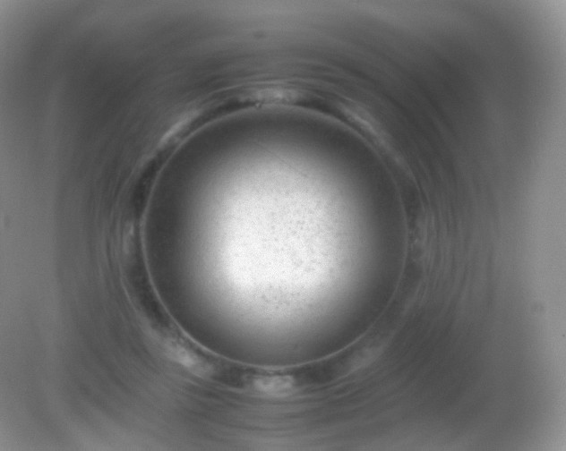 X0000082150355200701262314
