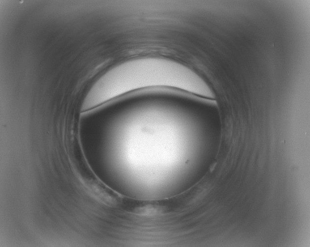 X0000082150356200701262314