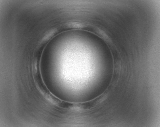 X0000082150358200701262314