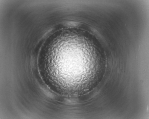 X0000082150359200701262314